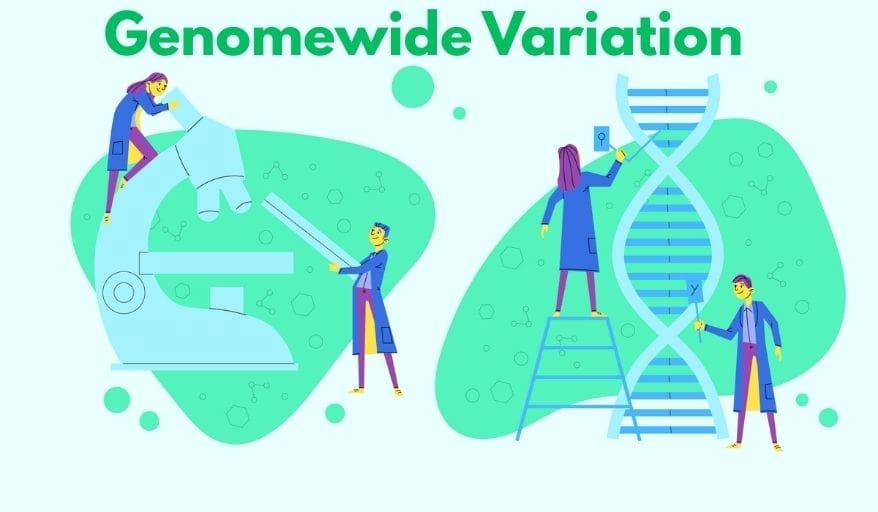 Genomewide variation