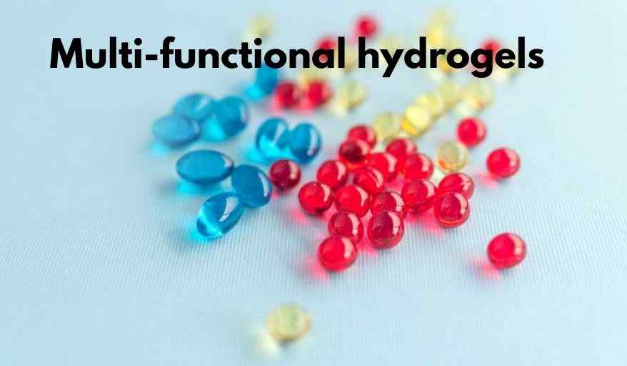 multi functional hydrogels
