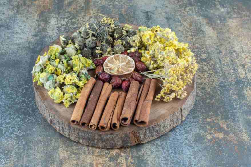 Plants from the Himalayan foothills