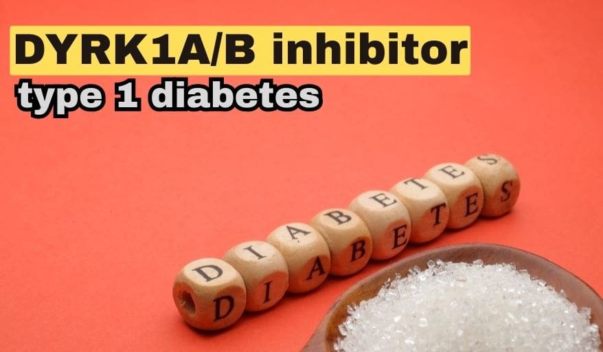 Dual DYRK1A/B inhibitor for type 1 diabetes