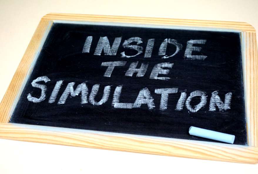 Inside the Simulation