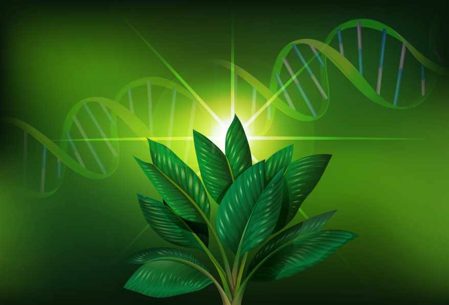 The Future of Herbal Science
