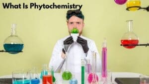 What is Phytochemistry
