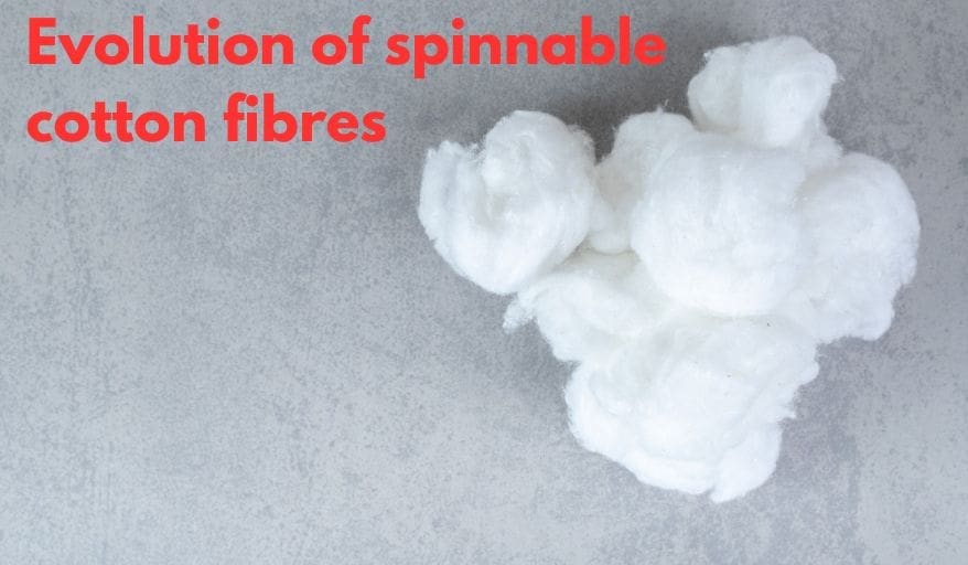 evolution of Spinnable cotton fibers