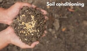 Soil Conditioning by Invasive Plants