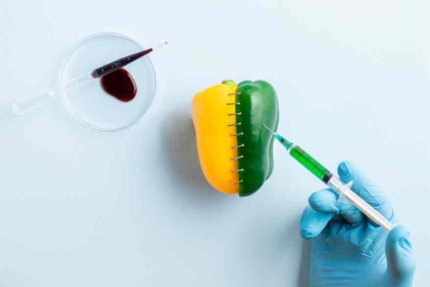 Basics of Food and Drug Toxicology: Dose-Response, Toxic Effects, and Safety Regulations