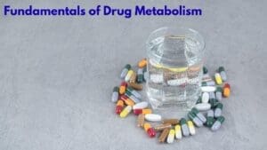Fundamentals of Drug Metabolism