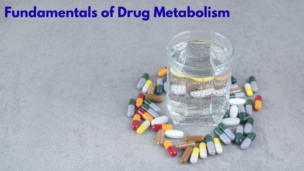 Fundamentals of Drug Metabolism