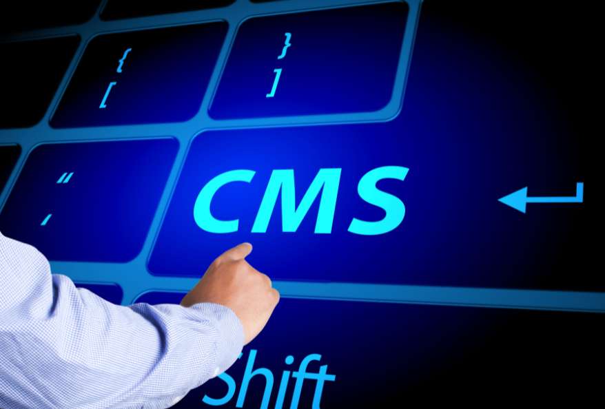 Headless CMS for Business Decision-Making
