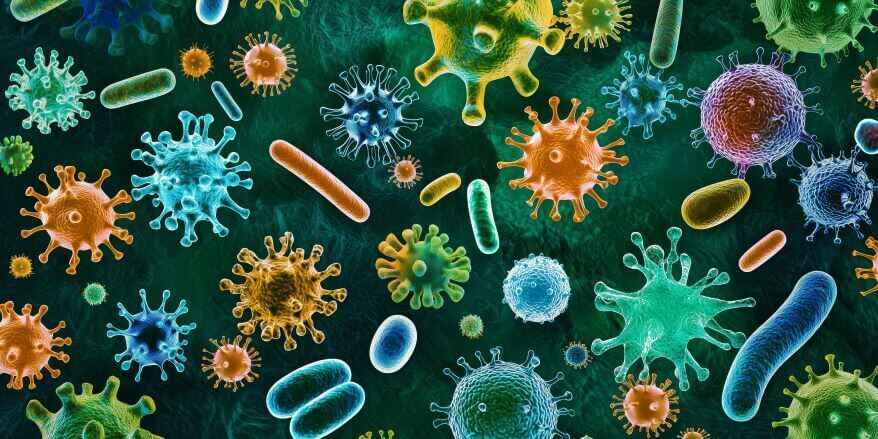 how microbes are useful to us