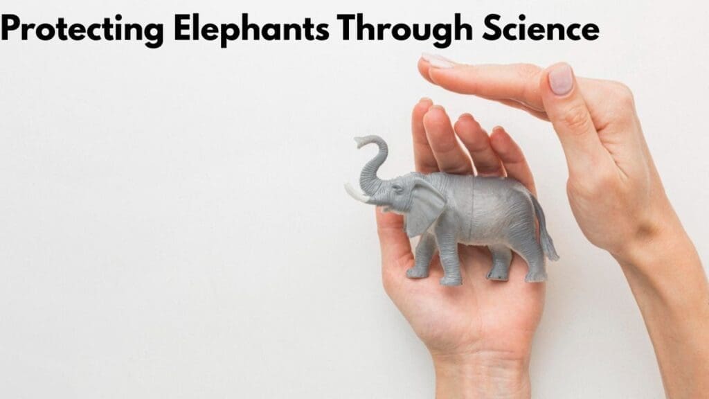 Protecting Elephants Through Science