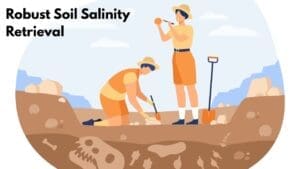 Robust Soil Salinity Retrieval