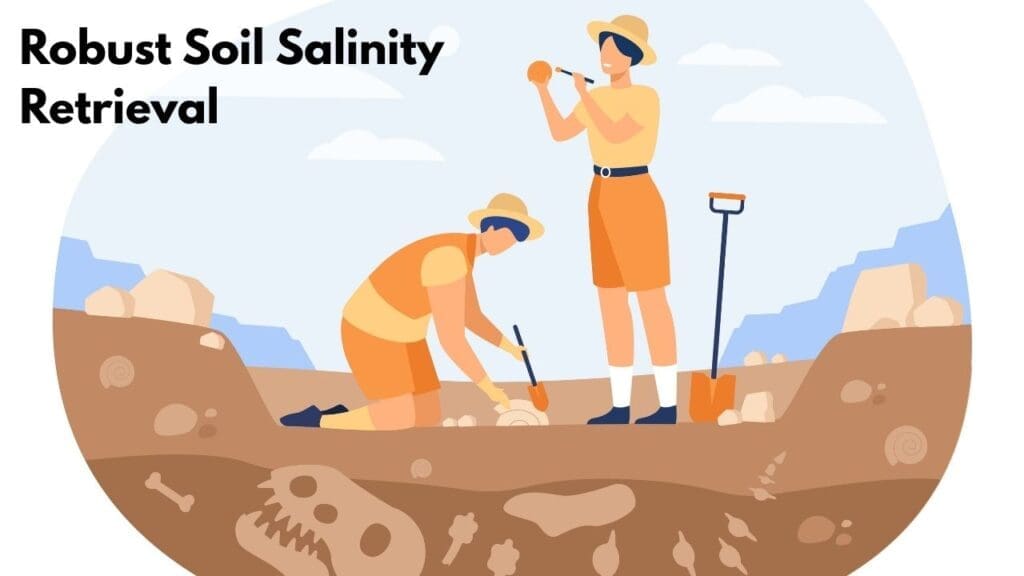 Robust Soil Salinity Retrieval