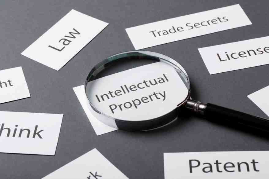 The Role of Patents