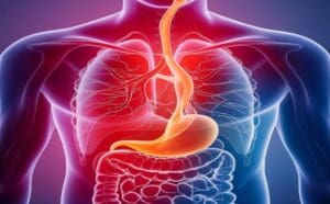 Tissue Engineering Careers