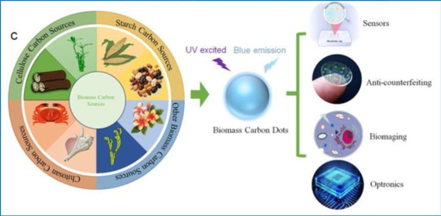 Synthesis of carbon dots from biogenic sources