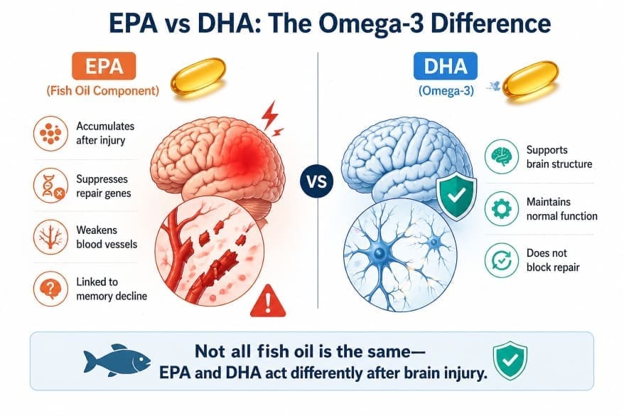 Onder Albayram Fish Oil Research and Brain Health