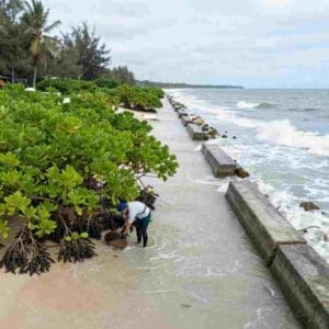 coastal ecosystem management